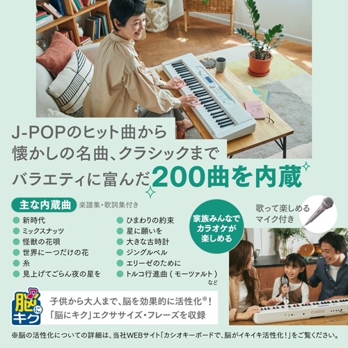 JVIvZ@ Casiotone irQ[VL[{[h 61 LK-530