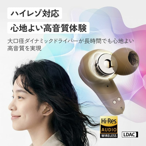 Victor�i�r�N�^�[�j&nbsp;���C�����X�C���z��&nbsp;HA-A110T-T