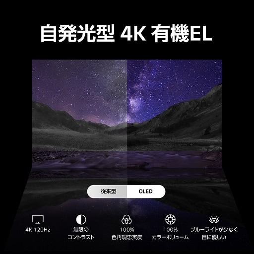 LG 有機ELテレビ OLED65B4PJA [65V型 /4K対応 /BS 4Kチューナー LG 有機ELテレビ OLED65B4PJA [65V型 /4K対応 /BS 4Kチューナー