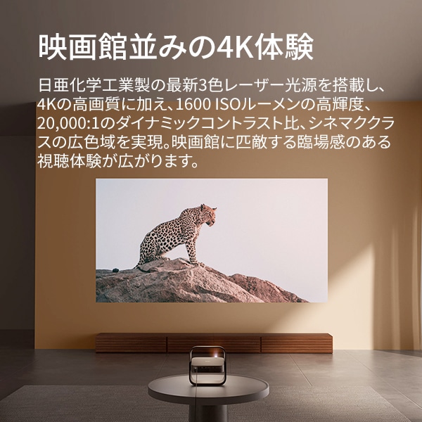 XGIMI�i�G�N�X�W�~�[�j&nbsp;�z�[���v���W�F�N�^�[�@Elfin Flip 4K&nbsp;XM03U