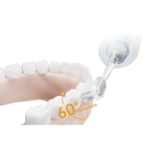 Laifen�i���C�t�F���j&nbsp;�d���n�u���V&nbsp;LFTB01A-S