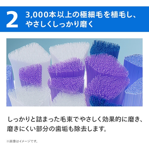 PHILIPS�i�t�B���b�v�X�j&nbsp;�փn�u���V�i�\�j�b�P�A�[�W�F���g���u���V�w�b�h�j&nbsp;HX6052/93