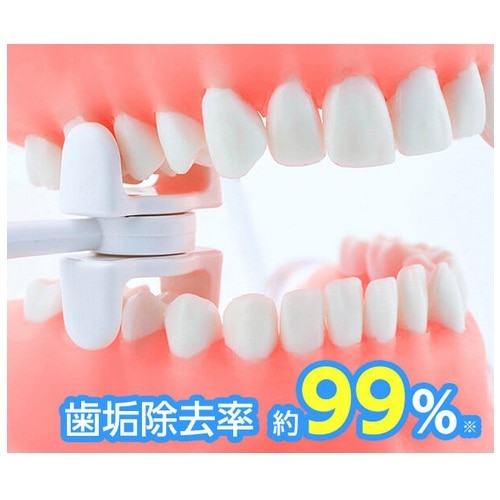 Shop Japan�i�V���b�v�W���p���j&nbsp;���o����i�t�r�a�[�d���j�I�[�����X�}�C��&nbsp;ORS-WS01