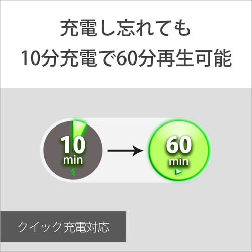 SONYi\j[j awbhz WI-C100 WZ