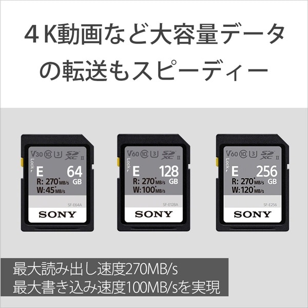 SONYi\j[j SDXC UHS-II [J[h SF-E128A T