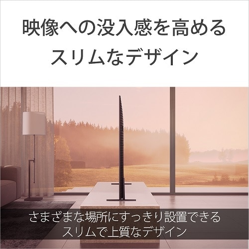 SONY（ソニー） 65V型 4Kチューナー内蔵有機ELテレビ BRAVIA 8