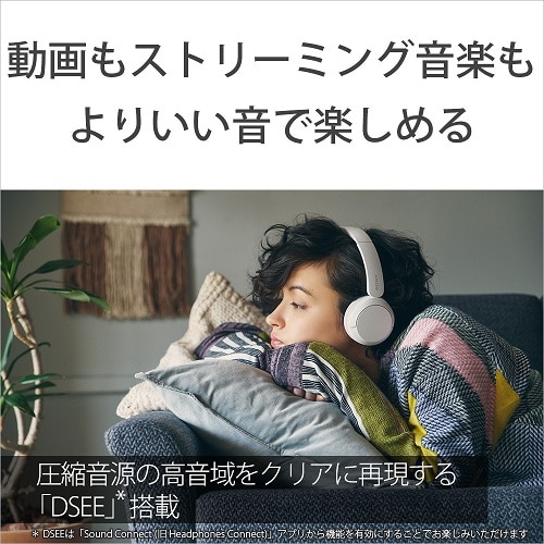 SONYi\j[j Bluetoothwbhz WH-CH520 YZ