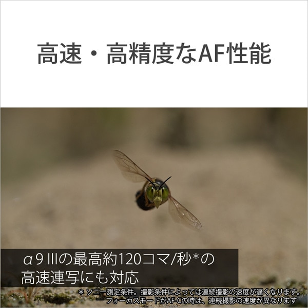 SONYi\j[j fW^J[E}Eg]pY FE 100mm F2.8 Macro GM OSS