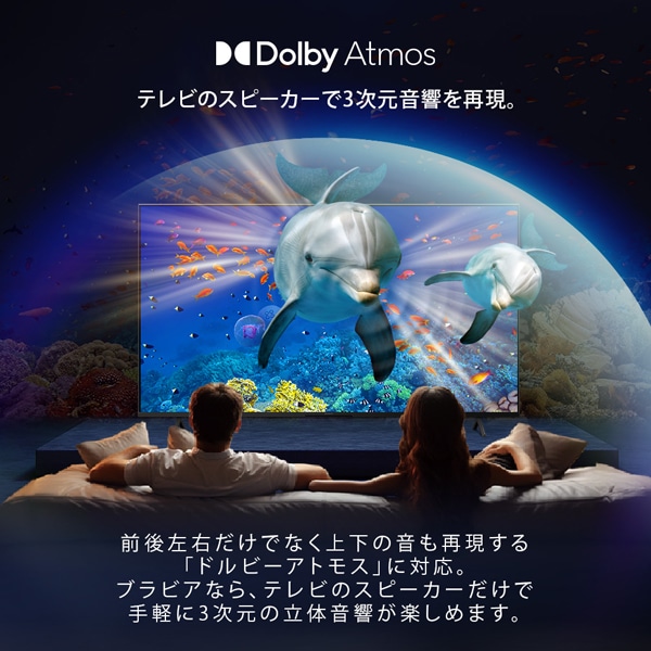 SONY（ソニー） 65V型 4Kチューナー内蔵液晶テレビ BRAVIA（ブラビア