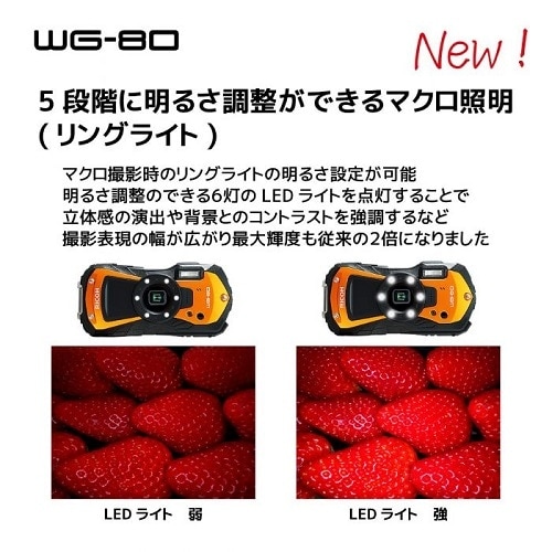  RICOHiR[j hfW^J WG-80 ׯ