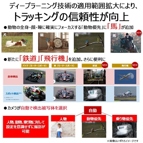 Canon（キヤノン） フルサイズミラーレス一眼カメラ EOS R6 Mark