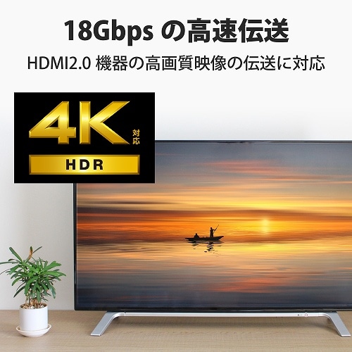 GR gclhP[u^o^X[p[X^PDO CAC-HDPSS10BK