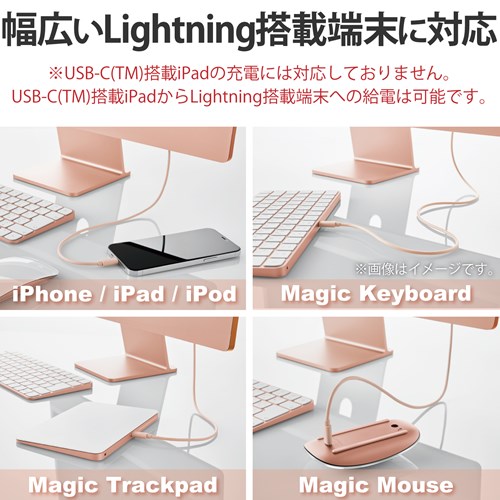 GR USB-C(TM) to LightningP[u(X^_[h) U2C-APCL10DR