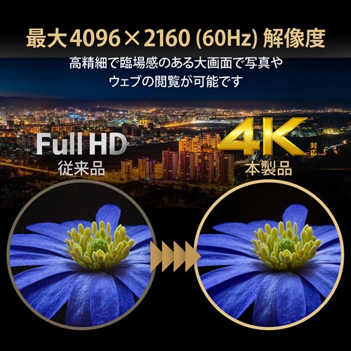 GR HDMIz/4K60pΉ/1/2o VSP-HDP12BK