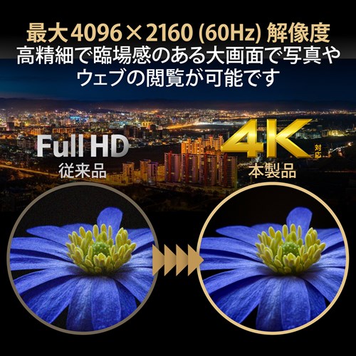 GR HDMIؑ֊i2|[gj DH-SW4KP21BK
