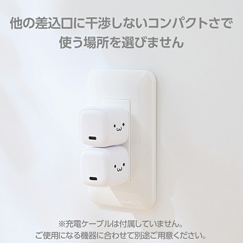 GR USB Power Delivery 20W AC[d(C×1) MPA-ACCP7320WF