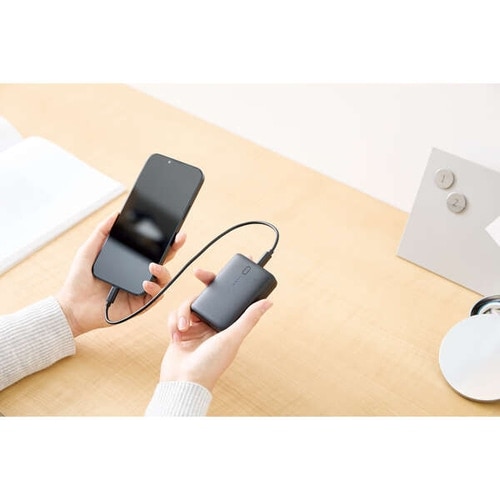 GR RpNgoCobe[(10000mAh/20W/C×1+A×1) DE-C46L-10000BK