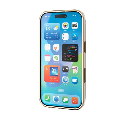 GR iPhone 16 Pro &me \tgP[X ^bNC PM-A24CUCTMLGB