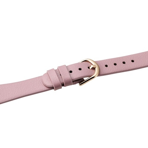GR Apple Watchp &me \tgU[oh AW-41BDLJPN