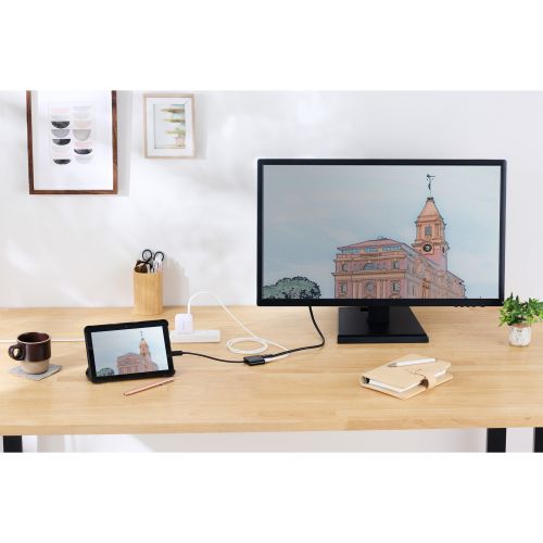 GR USB Type-C(TM) - HDMI(R)ϊA_v^[i1|[gj AD-CHDMIPDBK2
