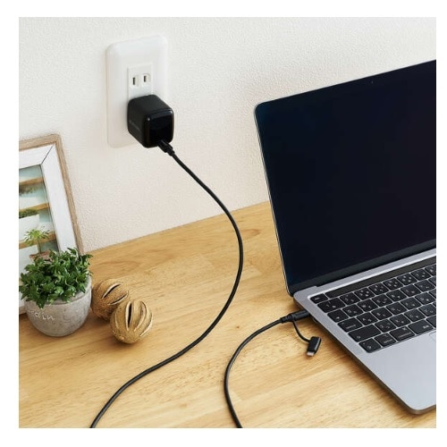 GR 2in1P[u(USB Type-C - USB Type-C/Lightningϊ/MFiF) MPA-CCLAD10BK