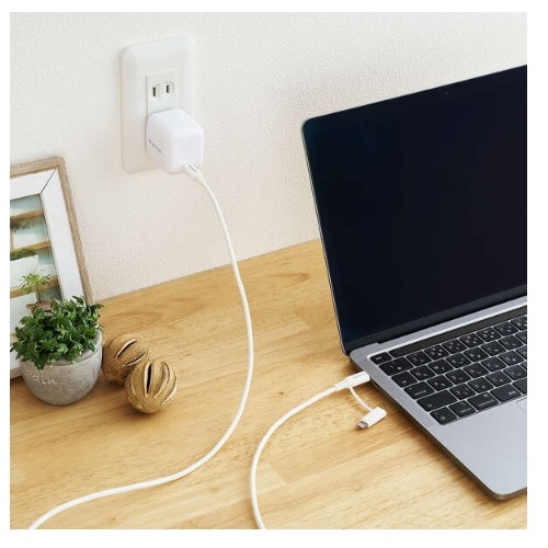 GR 2in1P[u(USB Type-C - USB Type-C/Lightningϊ/MFiF) MPA-CCLAD10WH