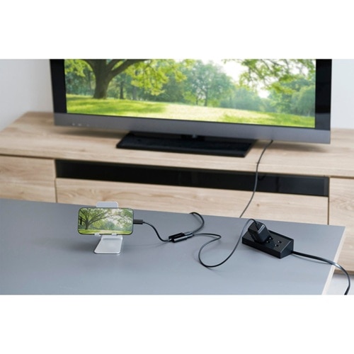 �G���R��&nbsp;USB Type-C(TM)�ϊ��A�_�v�^�[ 2�|�[�g/PD�[�d�t��&nbsp;AD-C2CPD100BK