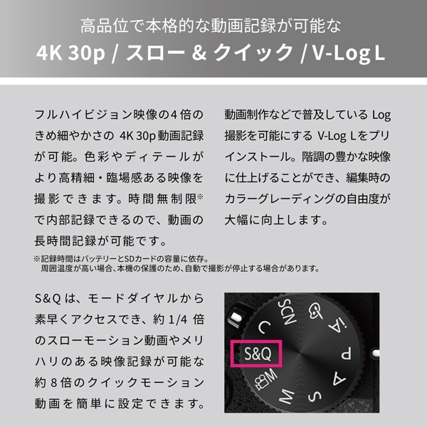 Panasonicipi\jbNj ~[XJ@LUMIX G99U@{fB DC-G99M2