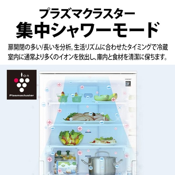 SHARP�i�V���[�v�j&nbsp;5�h�A �v���Y�}�N���X�^�[�①�Ɂ@�X�����ǂ������h�A�V���[�Y&nbsp;SJ-XW41R-W