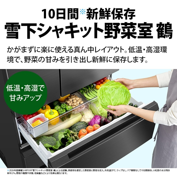 SHARP�i�V���[�v�j&nbsp;6�h�A �v���Y�}�N���X�^�[�①�Ɂ@FiT63�V���[�Y&nbsp;SJ-MF55R-H