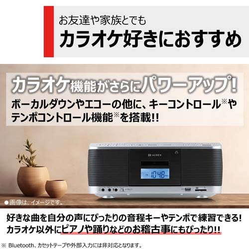 訳あり 東芝 SD/USB/CD ラジオカセットレコーダー TY-CDX91 重たい