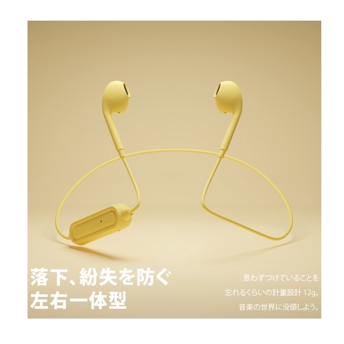 PGA Bluetooth 5.0 CXXeICz PG-BTE12IE6GR