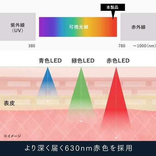MYTREXi}CgbNXj EMSwbhXp v MYTREX EMS HEAD SPA PROidCjwbhXpj MT-EHP22B-B