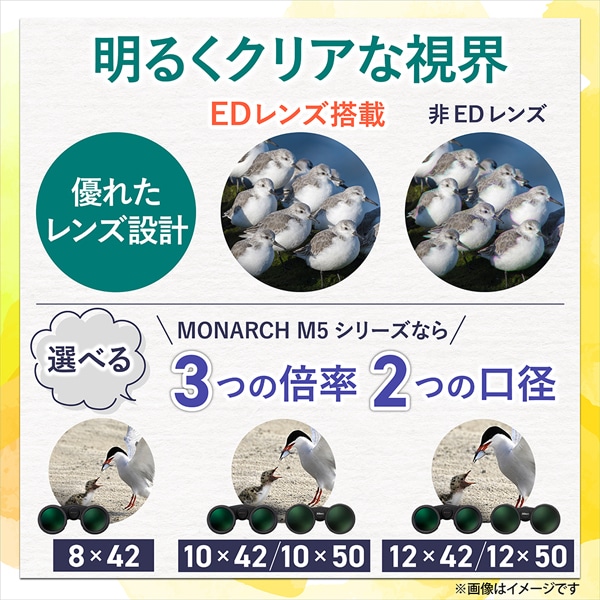 Nikon�i�j�R���j&nbsp;�o�ዾ&nbsp;MONARCH M5 12x50