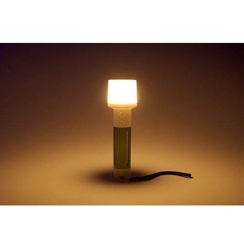 ELPA ^Cg DOP-270(MG)