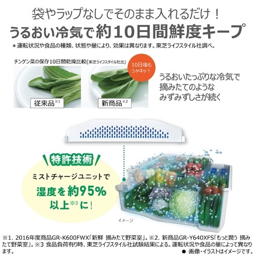 ���ŁiTOSHIBA�j&nbsp;5�h�A�①�Ɂ@VEGETA�i�x�W�[�^�j�@GSK�V���[�Y&nbsp;GR-Y470GSK(EC)