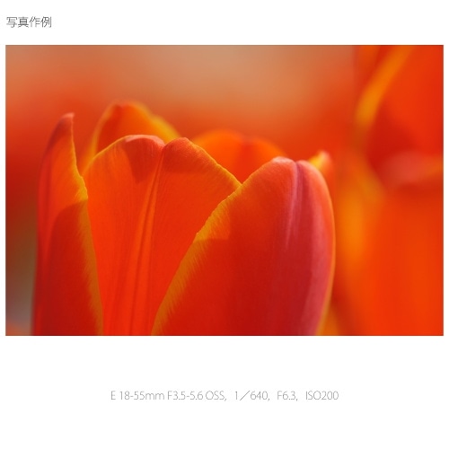 SONYi\j[j pY@\j[d}Eg SELP18200
