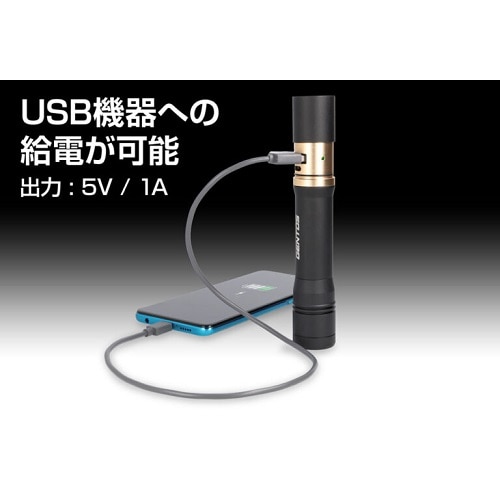 GENTOSiWFgXj [dCg@LEDtbVCg@REXEEDiNV[hj RX-486PB