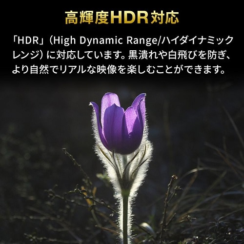 TTvC 4KEHDREHDCP2.2ΉHDMIؑ֊i2́E1o͂܂1́E2ój SW-HDR21BD