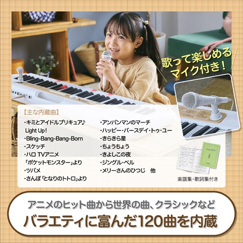 JVIvZ@ Casiotone irQ[VL[{[h LK-340