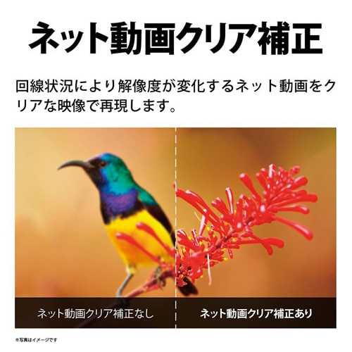 SHARPiV[vj 65V^@4K`[i[ter@AQUOS 4KiANIXj FL1CiGoogle TVj[ʏ肨͂܂łɂԂꍇ] 4T-C65FL1