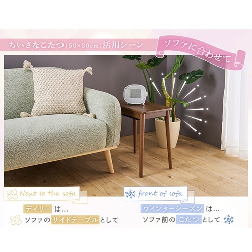 ATvCX Ȃuev 530F(BR)