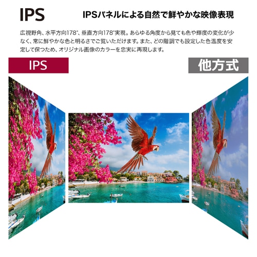 LG 34^Ȗʌ^EgChj^[ 34WQ75C-B