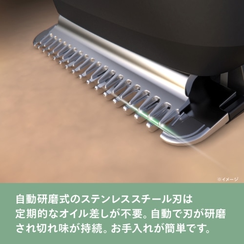 PHILIPSitBbvXj tBbvX I[C 3000 V[Yg}[ MG3931/15