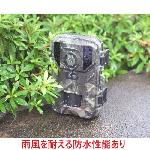 SIGHTRONiTCgj ԊOlBe4KJ STR-MiNi800 TT800CM