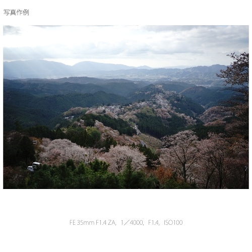 SONYi\j[j pY@\j[d}Eg SEL35F14Z