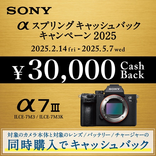 SONY（ソニー） 小型一眼カメラ ボディ ４Ｋ α（アルファ）｜α7 Ⅲ