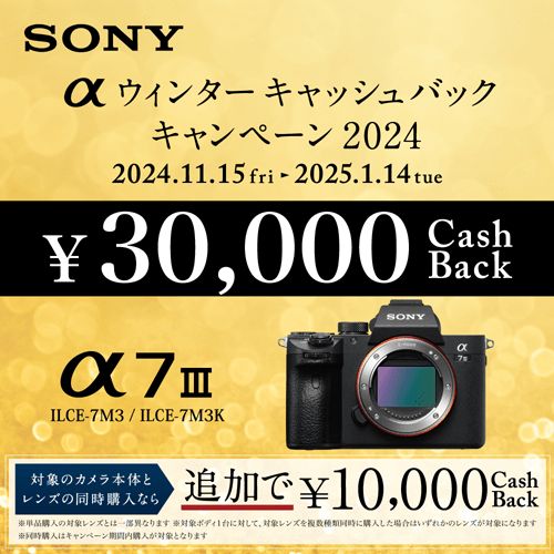 SONY（ソニー） 小型一眼カメラ ボディ ４Ｋ α（アルファ）｜α7 Ⅲ ILCE-7M3｜[通販]ケーズデンキ