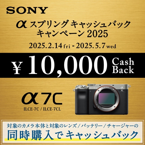 SONY（ソニー） 小型一眼カメラ ボディ ４Ｋ｜α7C ILCE-7C S｜[通販 