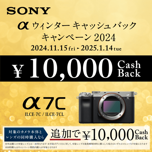 SONY（ソニー） 小型一眼カメラレンズキット ４Ｋ｜α7C ILCE-7CL S｜[通販]ケーズデンキ